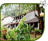 Bison River Resort, Dandeli