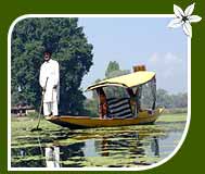 Dal Lake, Srinagar