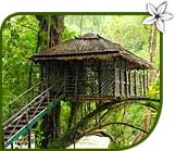 Ecolodges In India