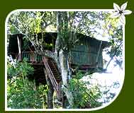 Jungle Camp Resort, Dandeli