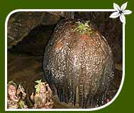 Kavala Caves Dandeli