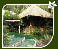 Musa Jungle Resort